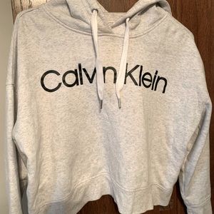 Grey Women’s Large Hoodie